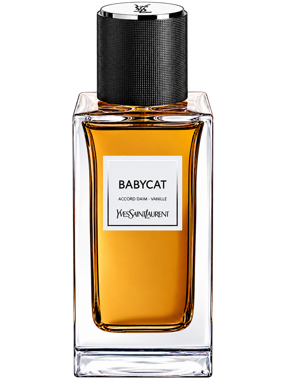 YVES SAINT LAURENT Babycat